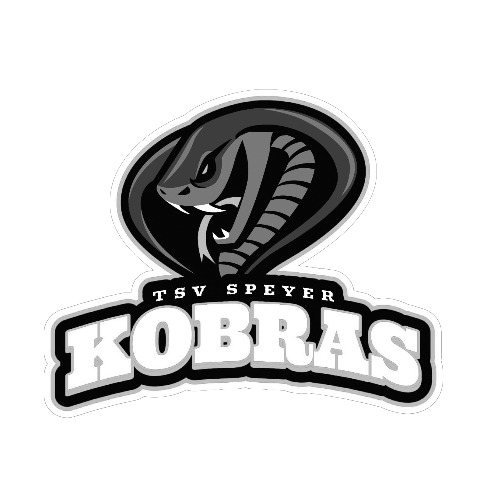 kobras-speyer.de
